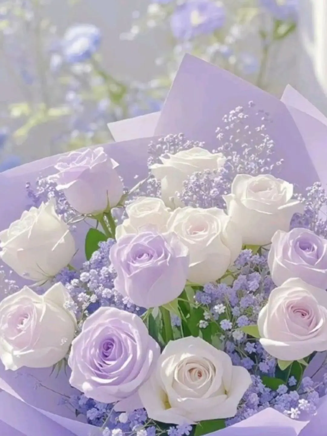 amachan의 お嬢様と執事な五年生(仮)