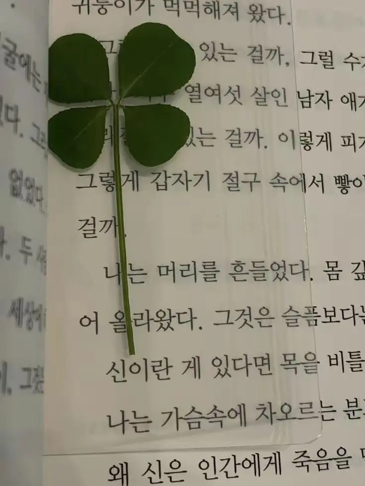 ShyHorse8672의 DxS