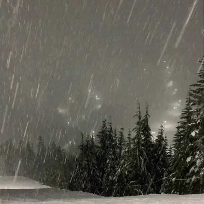 SolemnStale2034의 코요 템페스트