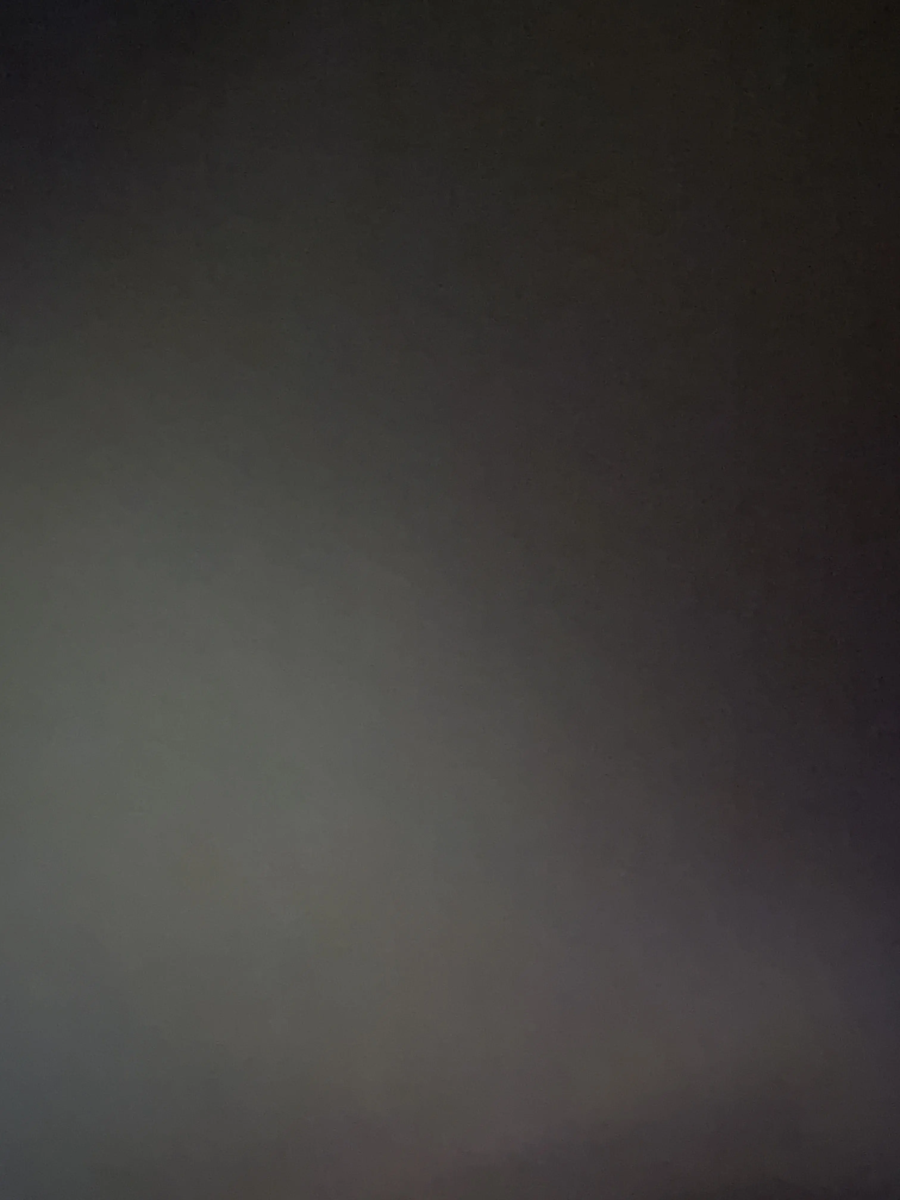 _xil의 찐친들과의 동거라….