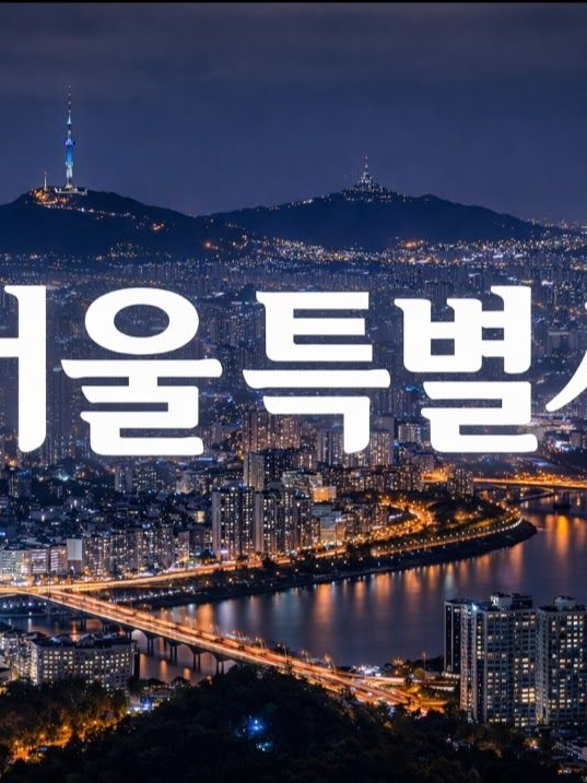 총기합법화가 된 대한민국 대표 이미지