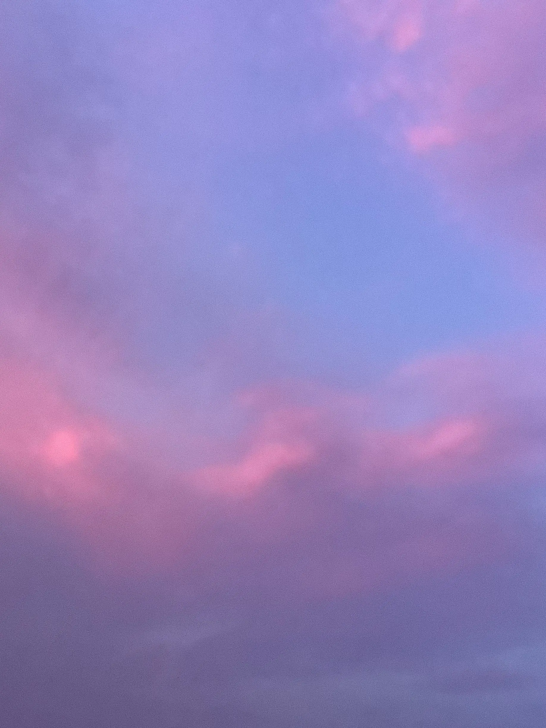 youseityanneru의 チャンスが猫になった君は気づいてない