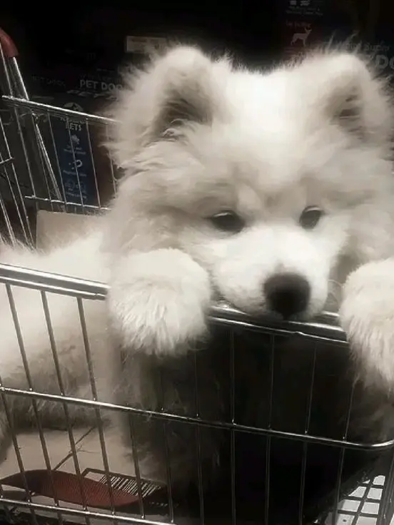 Inami4_ra의 共犯者にするな