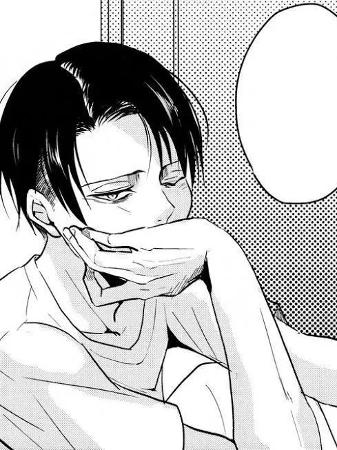 user_Zzz의 리바이 아커만