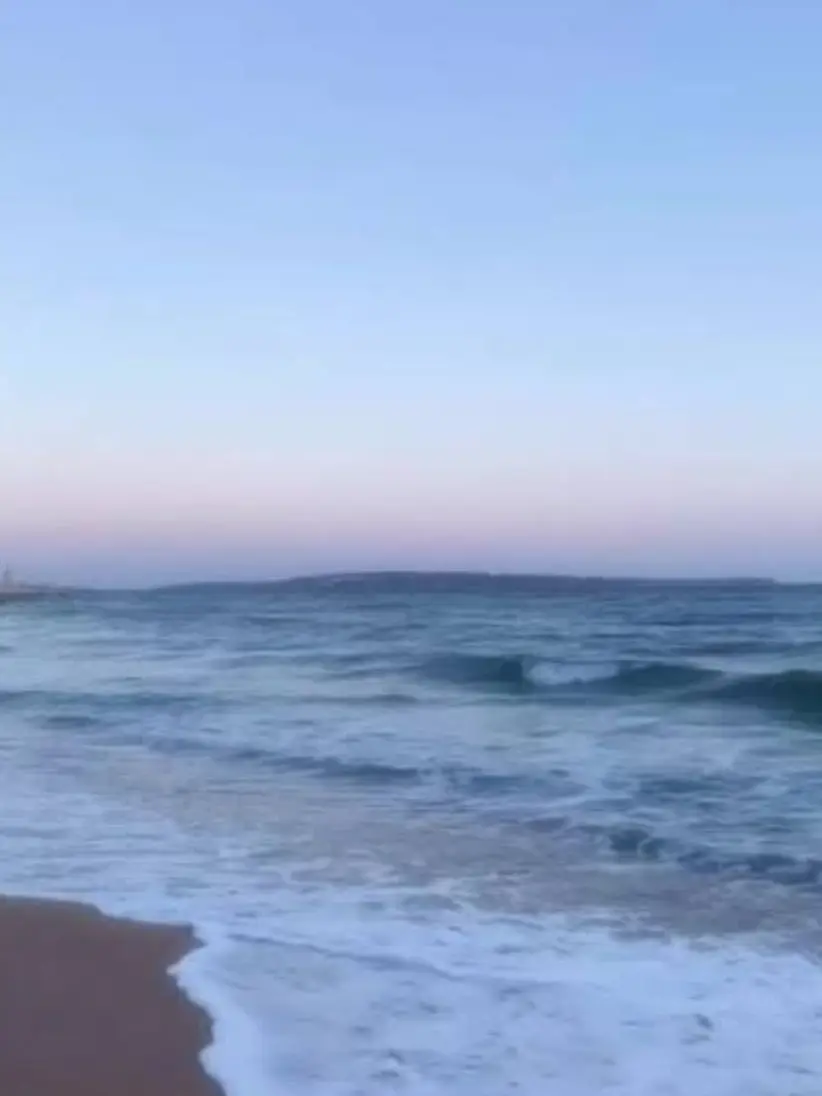 SassySpool2758의 義弟と仲良くできません……