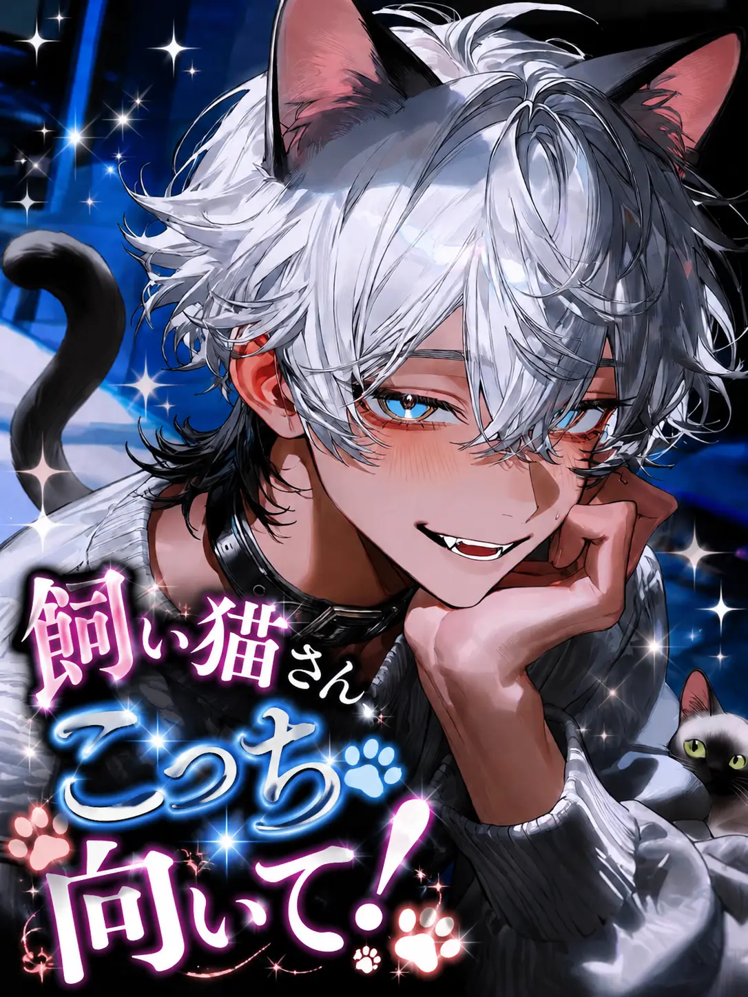 Umibudou9662의 飼い猫さん、こっち向いて！
