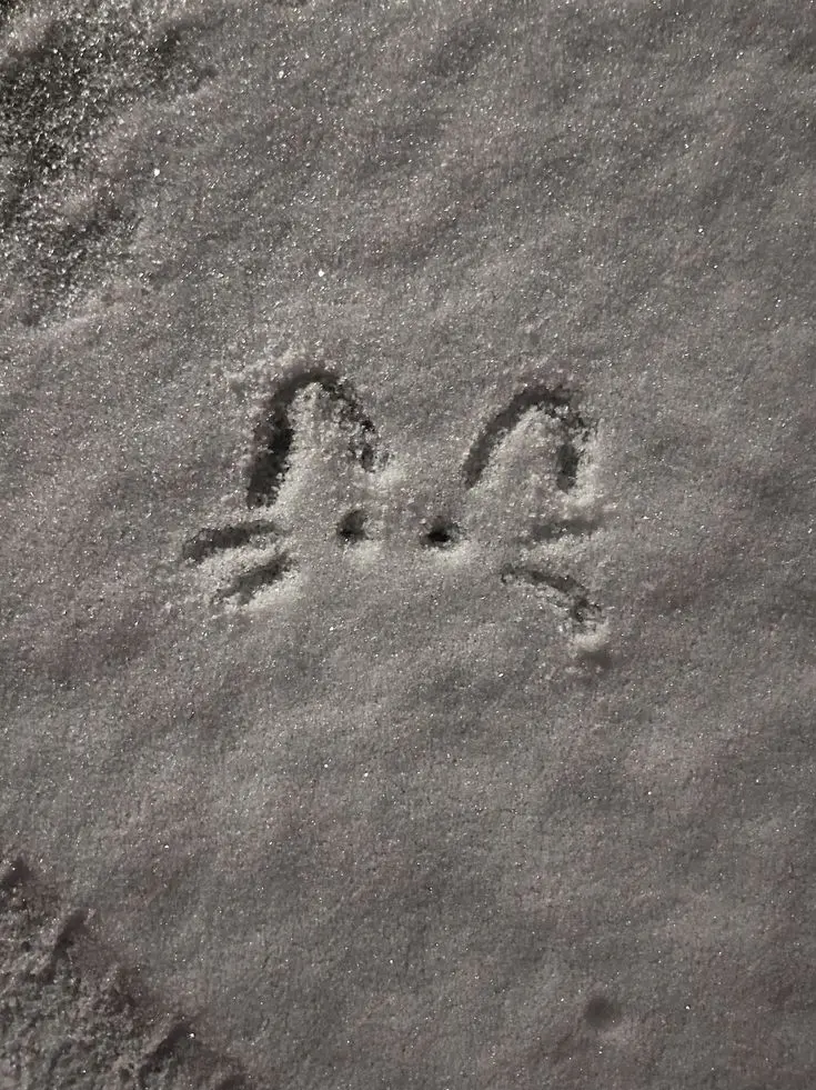 CrazyPrettyNMIXX의 장규진