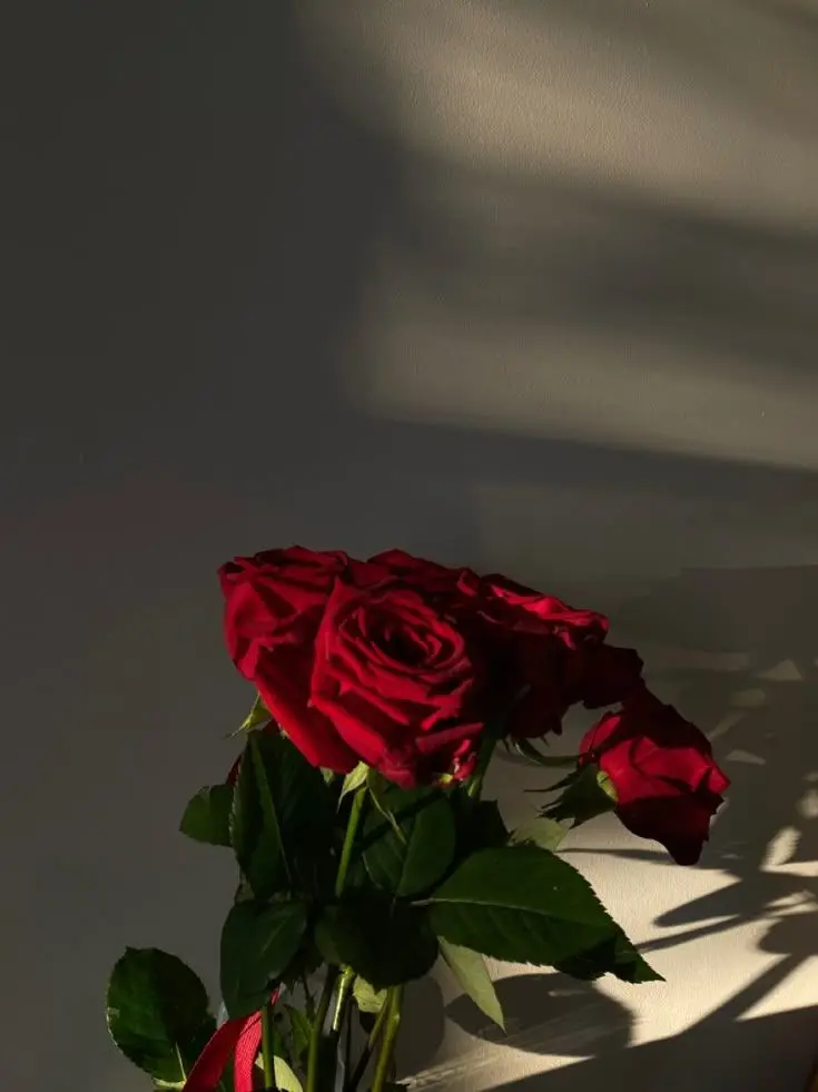 NutmegUrial1138의 宮舘涼太