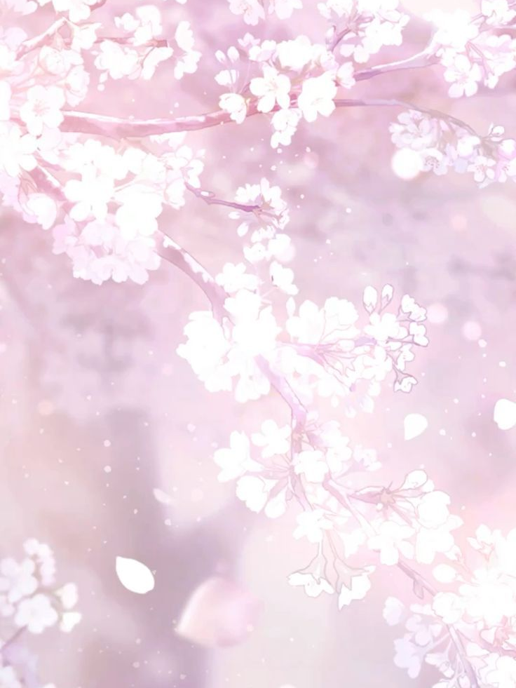 에나미즈 대표 이미지