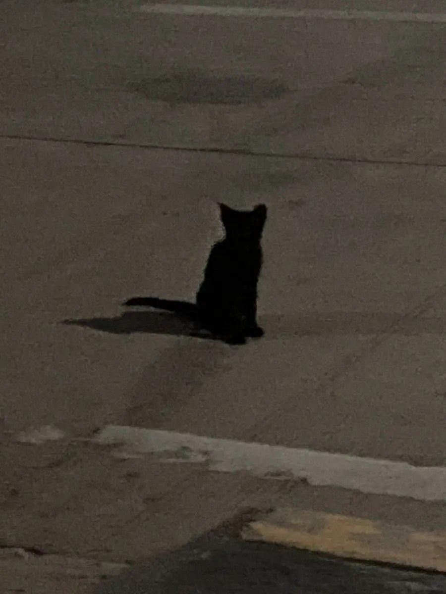 SureGrape6214의 Replay