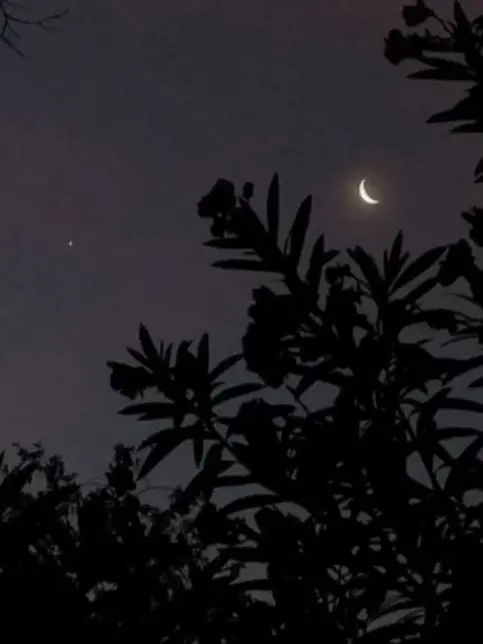 dreamer_0107의 파이브