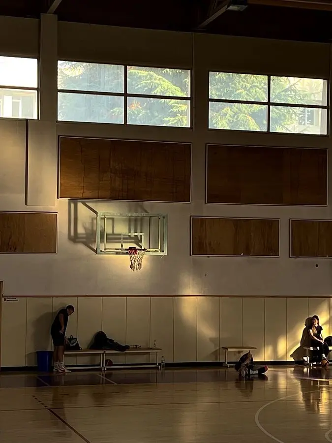 HardPlant1543의 Physical Education