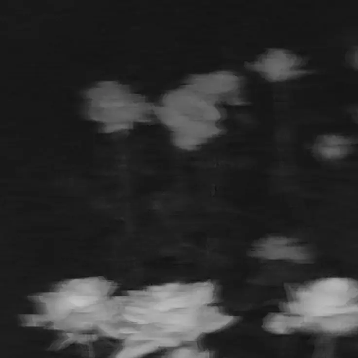 AcidicPain8453의 한승연