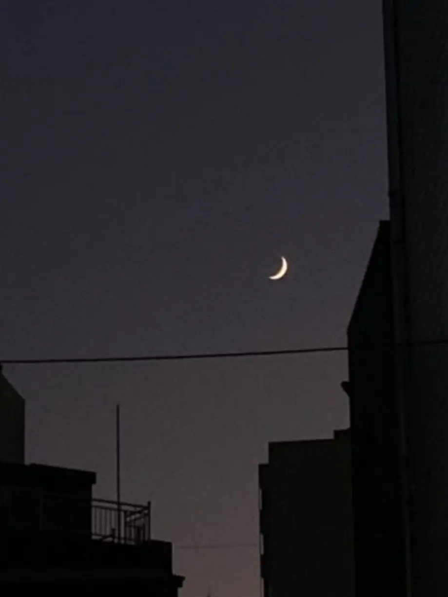 clock_head의 손가락의 아이들.