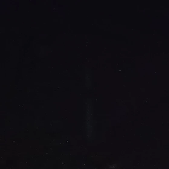 유진혁