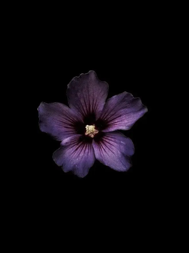 Block_Chudol의 [I Yearn for You. And Yearn Again]