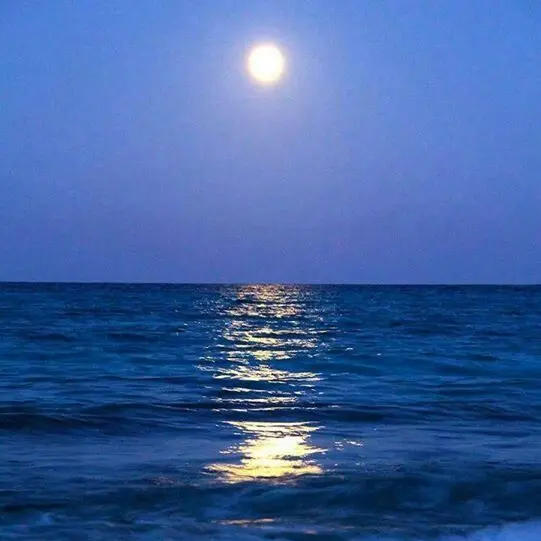 EliteClock3306의 날 구해줬잖아. 그럼 은혜는 갚아야지