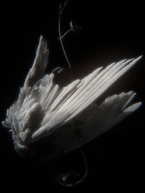 Angel92의 貴方は運命の人