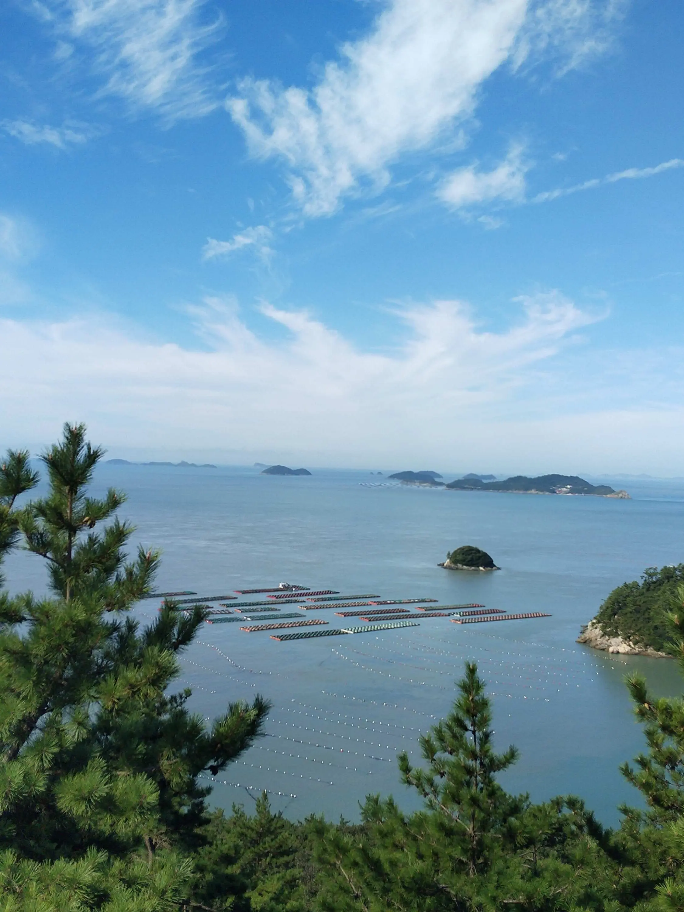 DecentNeck2485의 남녀무리+여우