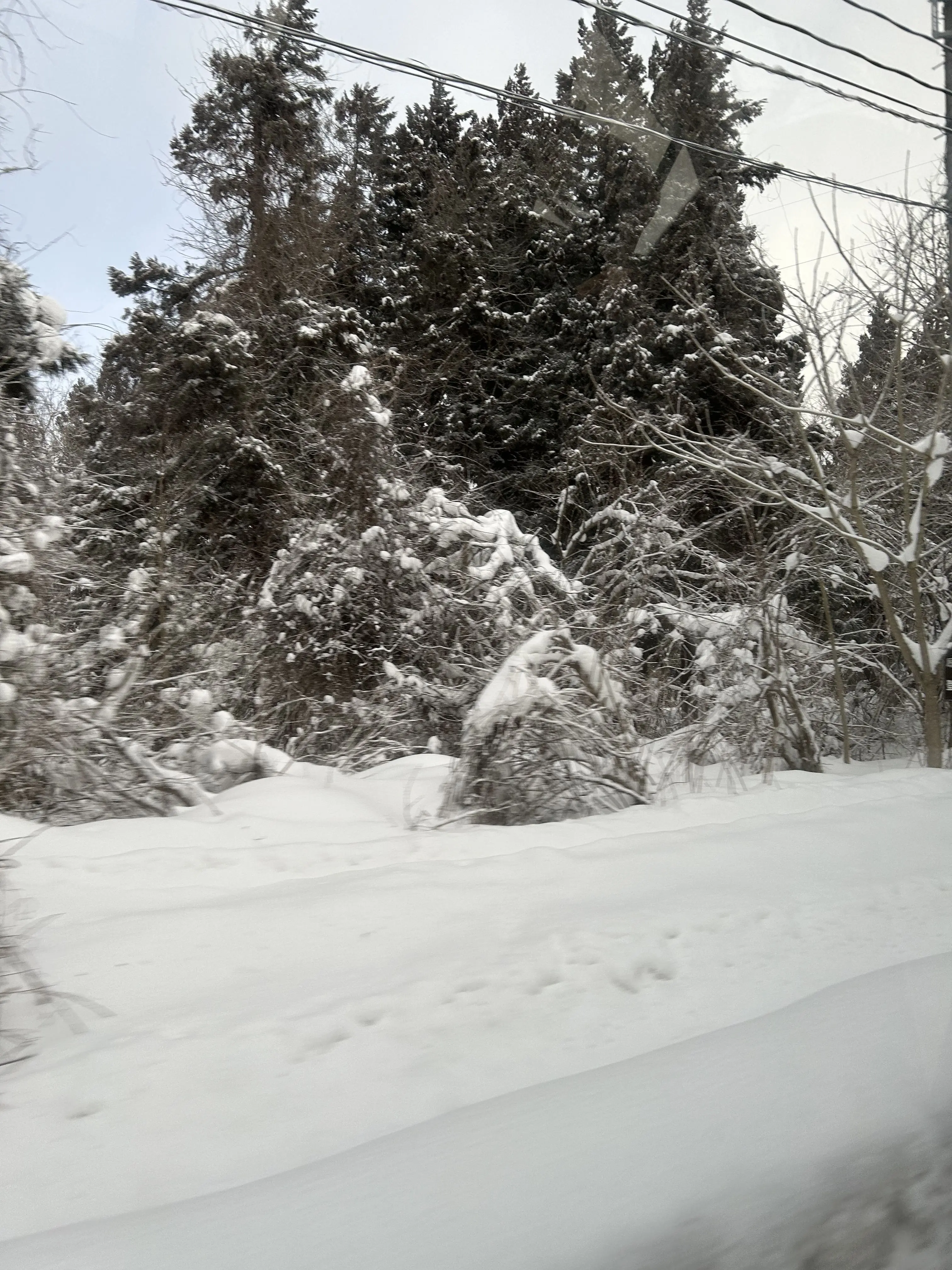 HonestLeech5019의 あなたとmilk