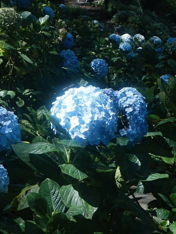 一日三秋 대표 이미지