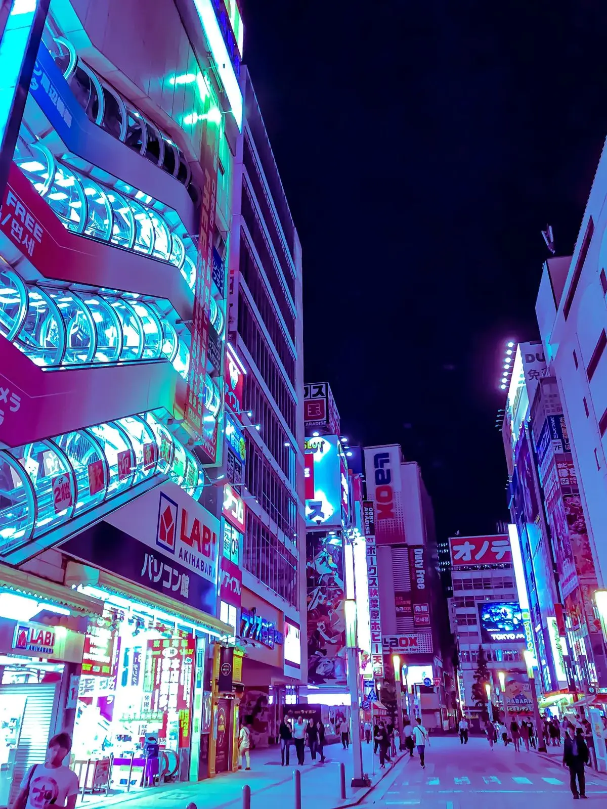 C3L3ST의 ⁺ ‷B I N - J I N: BL‴ ⁺