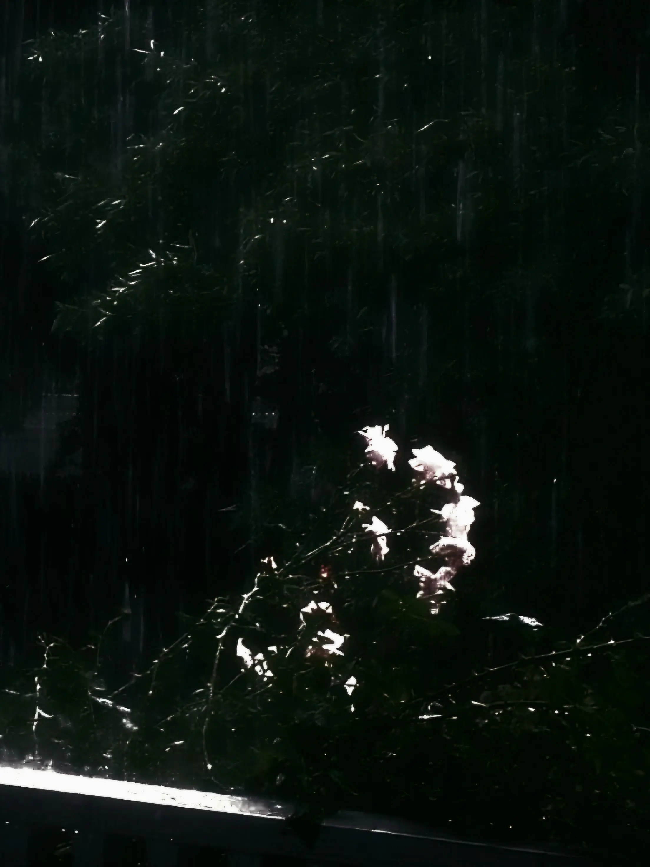 Lida1119의 🔮 왔어요?