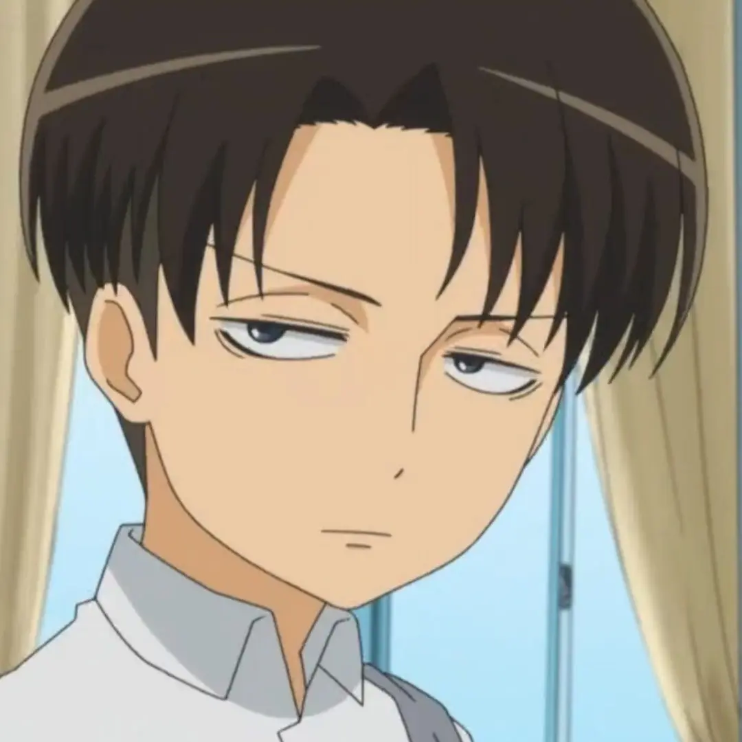 Sea0406의 리바이 아커만