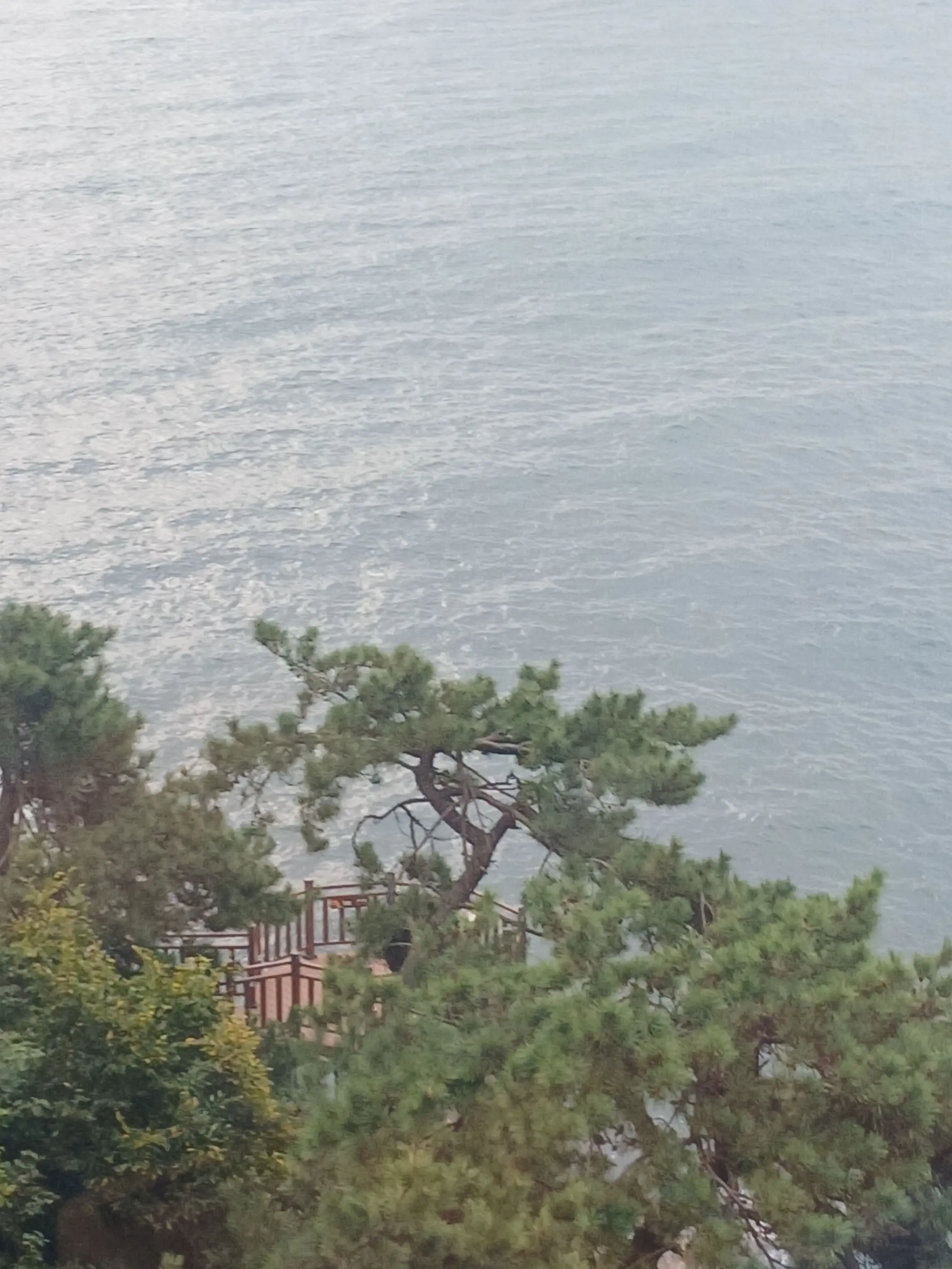 RD_yehoon_1234의 뜰팁고등학교 (짝사랑편💘)