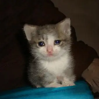 kimseulwoo의 포세이큰 킬러 유치원