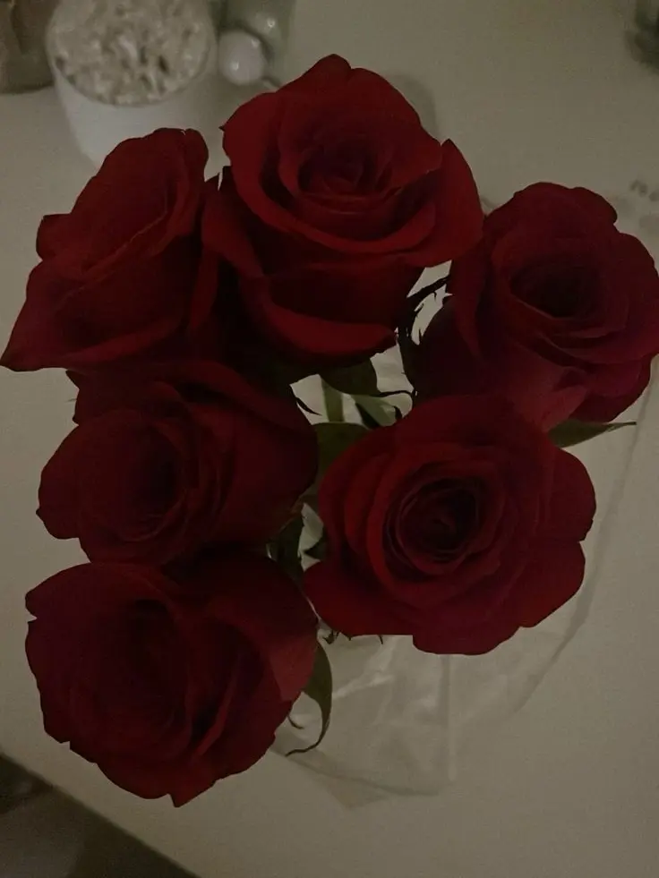 Melhatesyou의 Tangled in a Romance of..6?