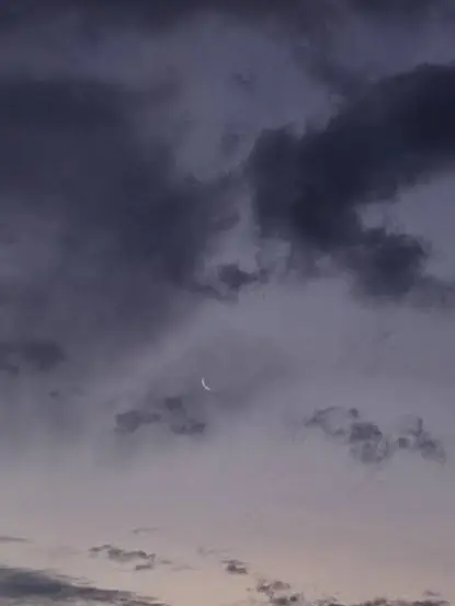 FluffyPest9206의 心の声 学生ver