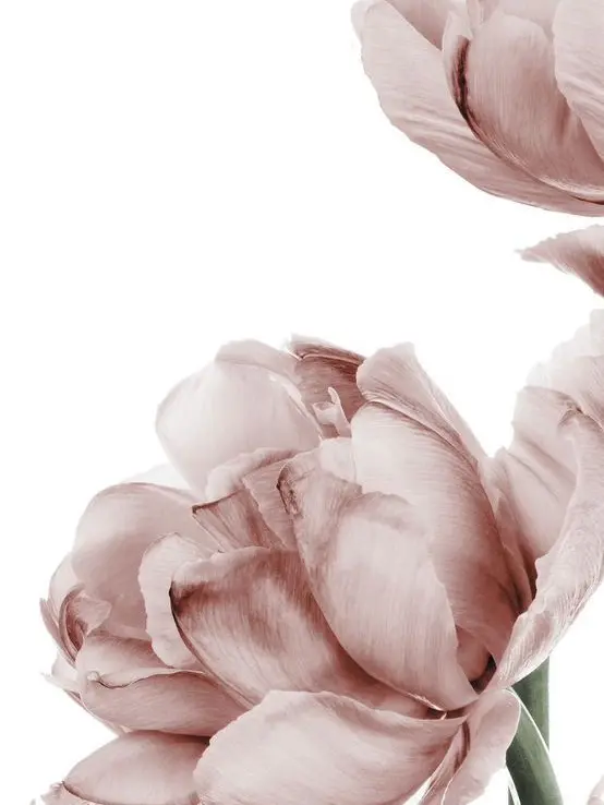 YeastyStool2835의 Father's love