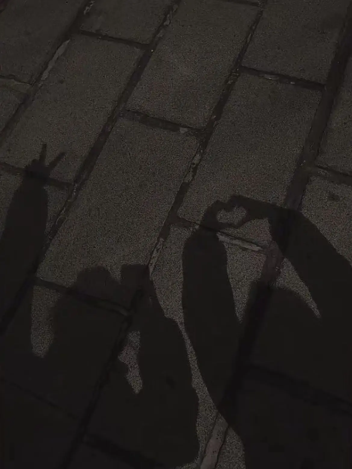 SilverChime1875의 先生たち、落ち着いて。
