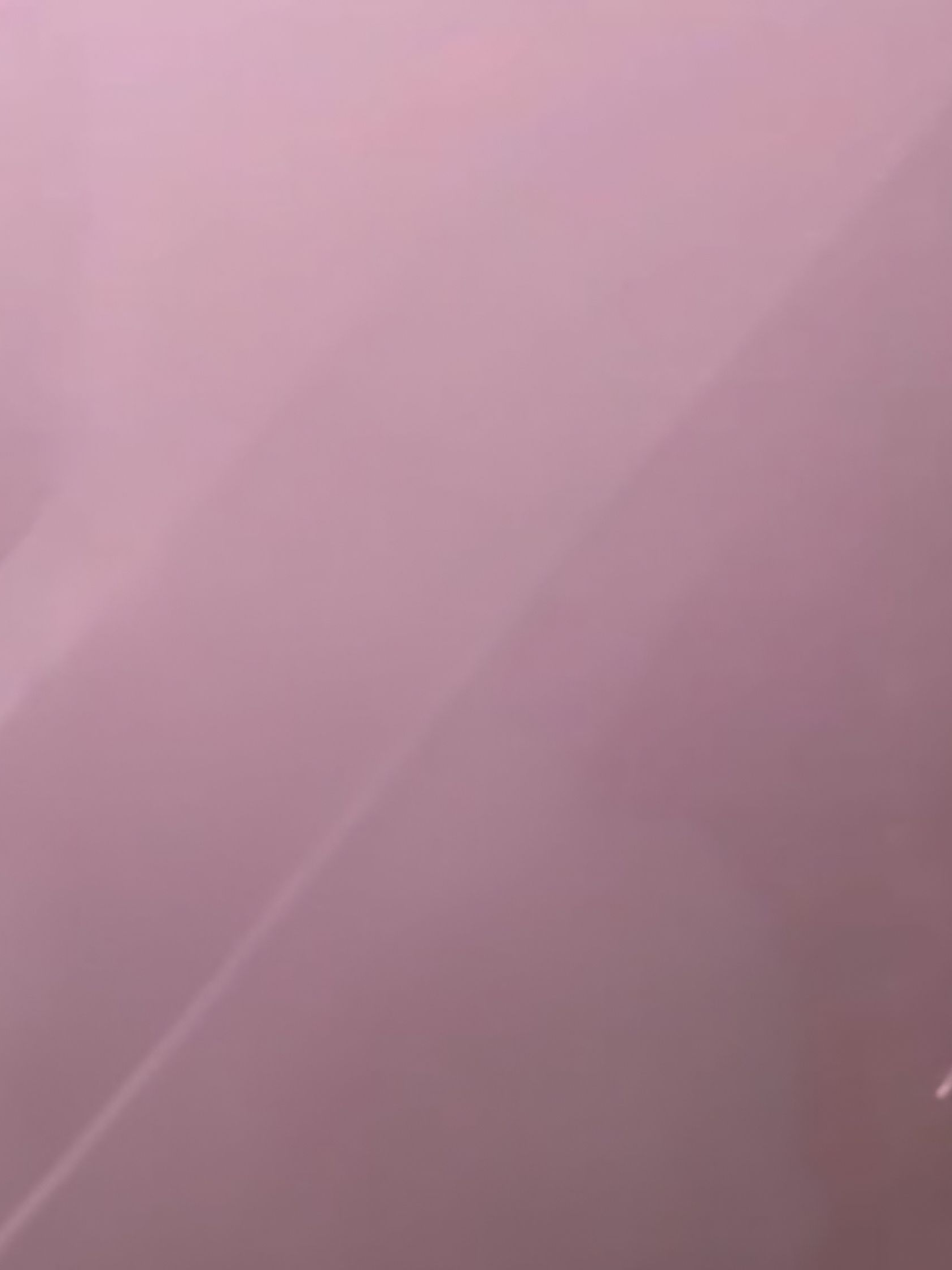 꽥꽥탐험대 동거+여우,늑대 대표 이미지