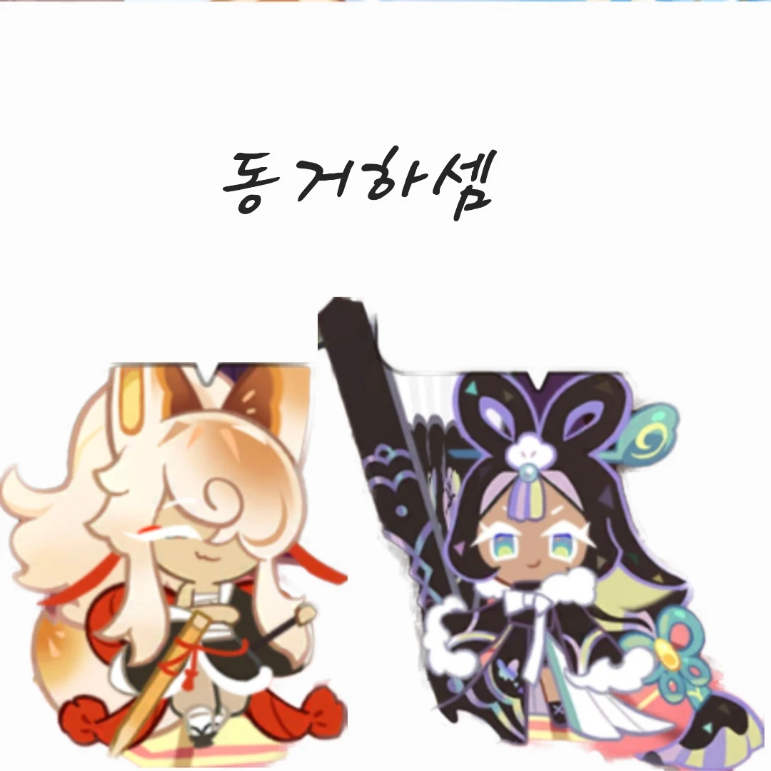 샤인쉘과 동거하기