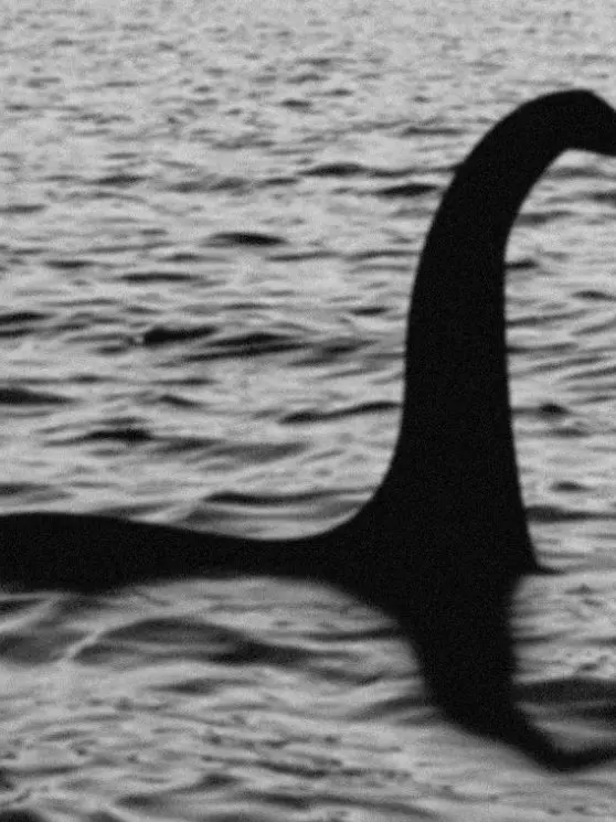 CoarsePin7453의 크립티드 재단