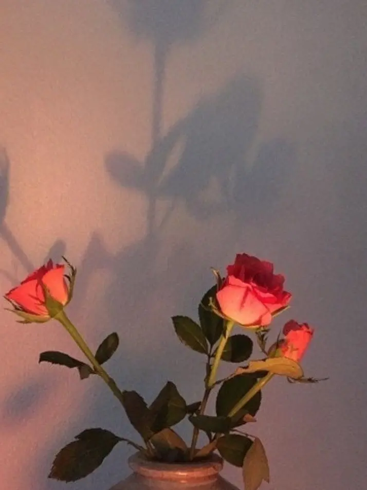 FlimsySitar5222의 박덕개