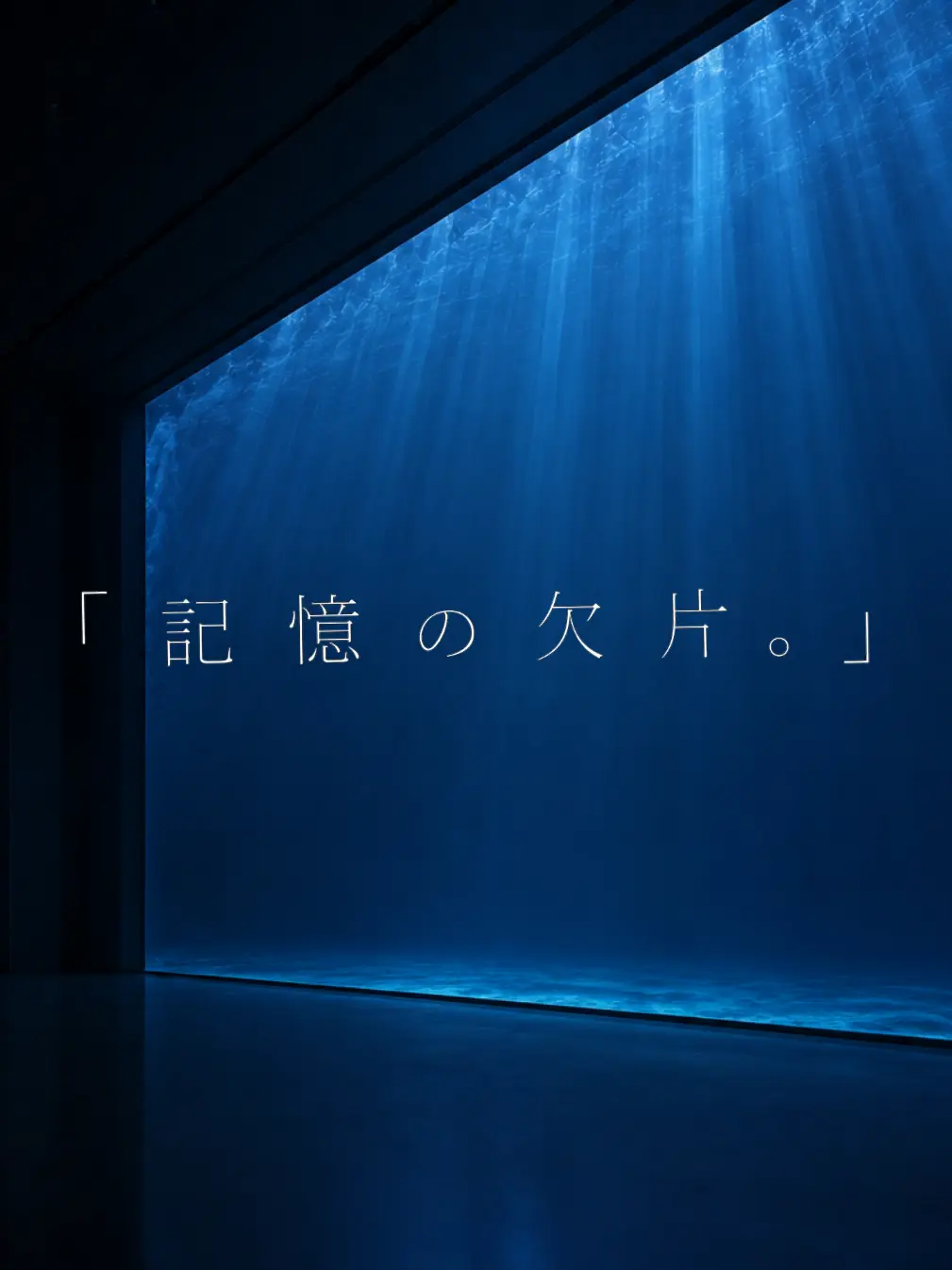 CurvySheaf8488의 『記憶の欠片。』