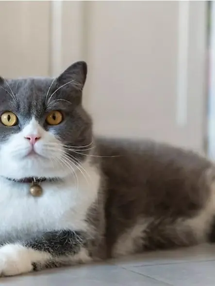 Xzxz의 너 보단 내가 낫지..안 그래?