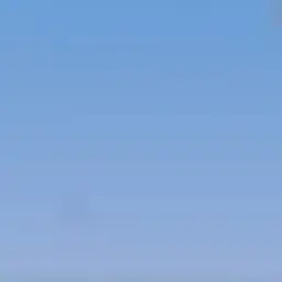 DryMole4126의 ⚠️マジでやばいんで自己責任でね？⚠️