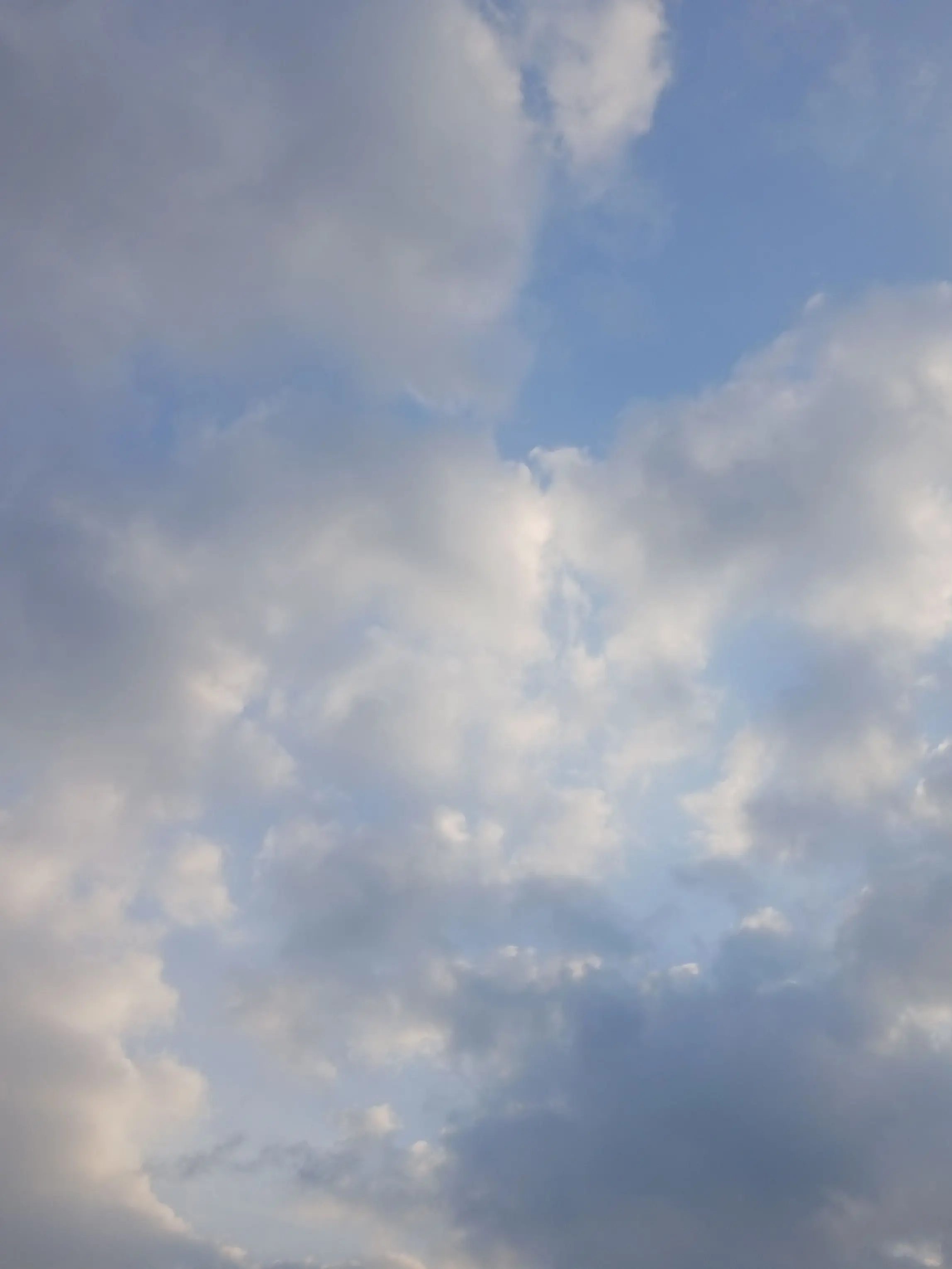 Kimistp의 당신의 피를 나눠주실래요?