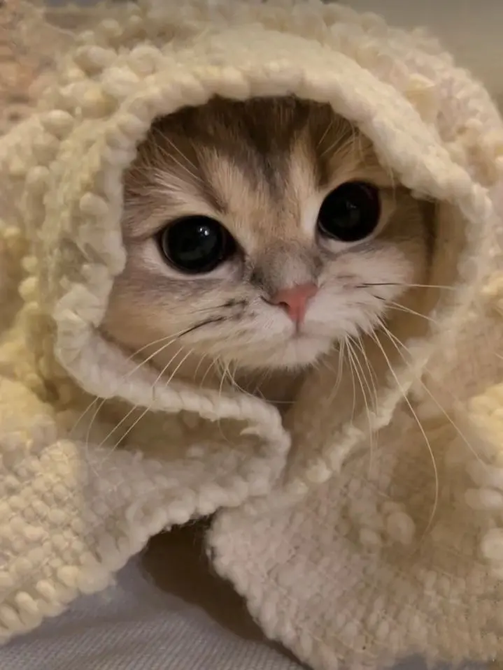 Stay_For_ZB1의 -Checkmate.-