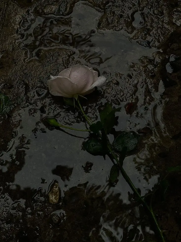 RancidTosa7121의 "이루어질 수 없는 사랑"