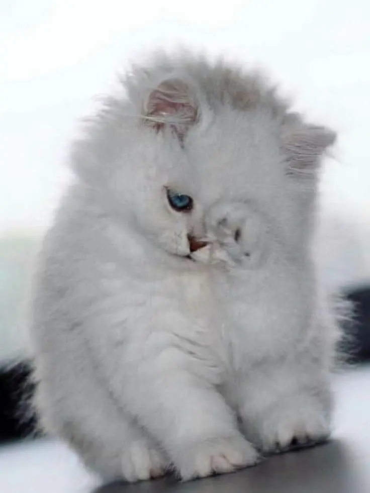 FutureSlug8490의 こっちを向いてよ！