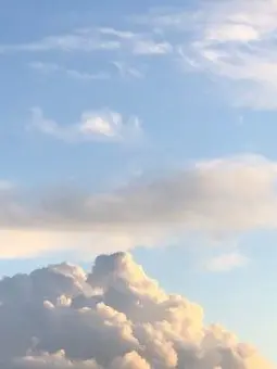 PrimGrill8454의 F6 뜰팁(여우 있는 버전)