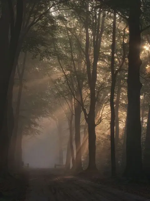 ShinyCrew6880의 이홍위