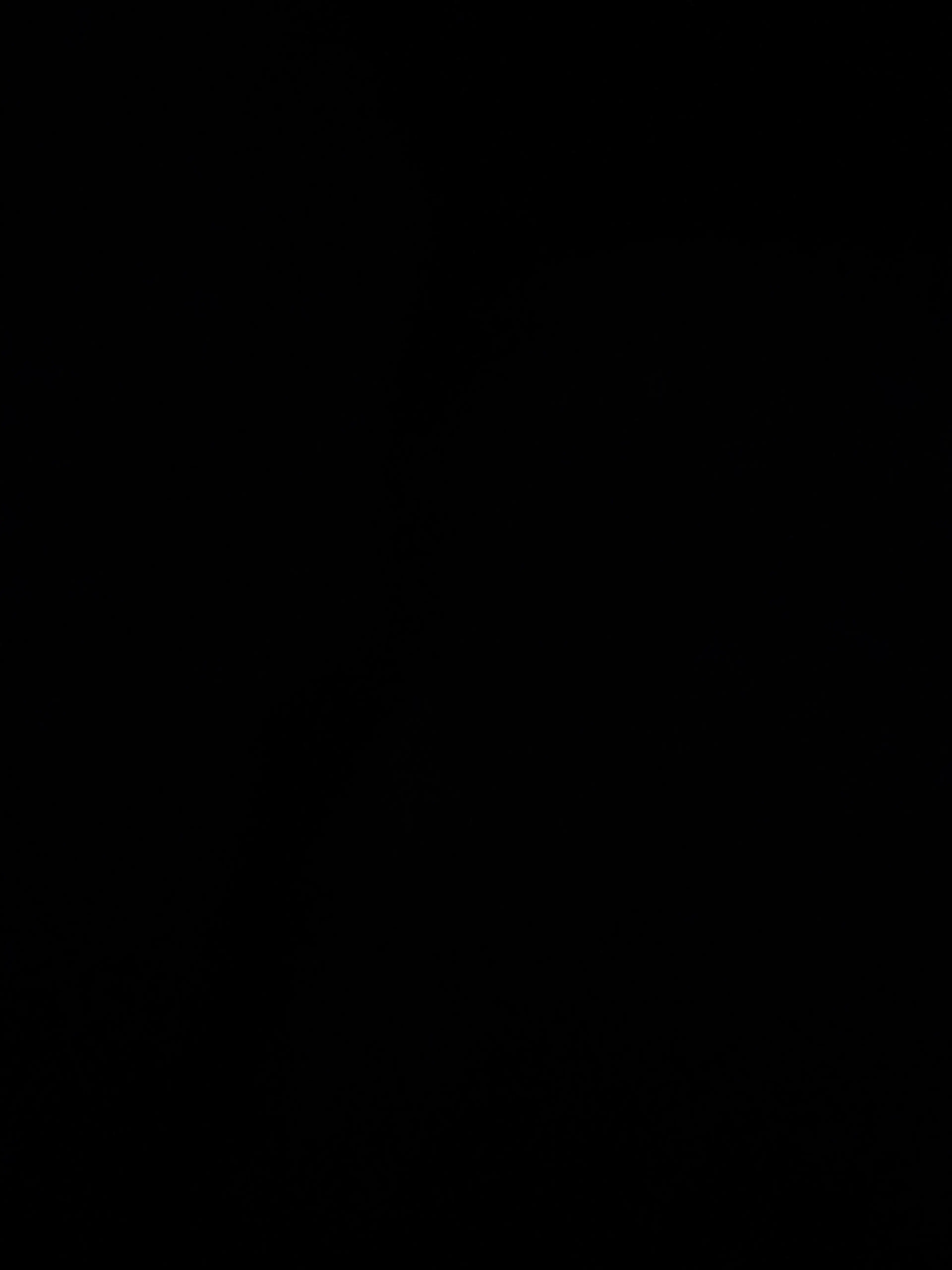 Makeinutyandayo의 教祖さま、これであってますか