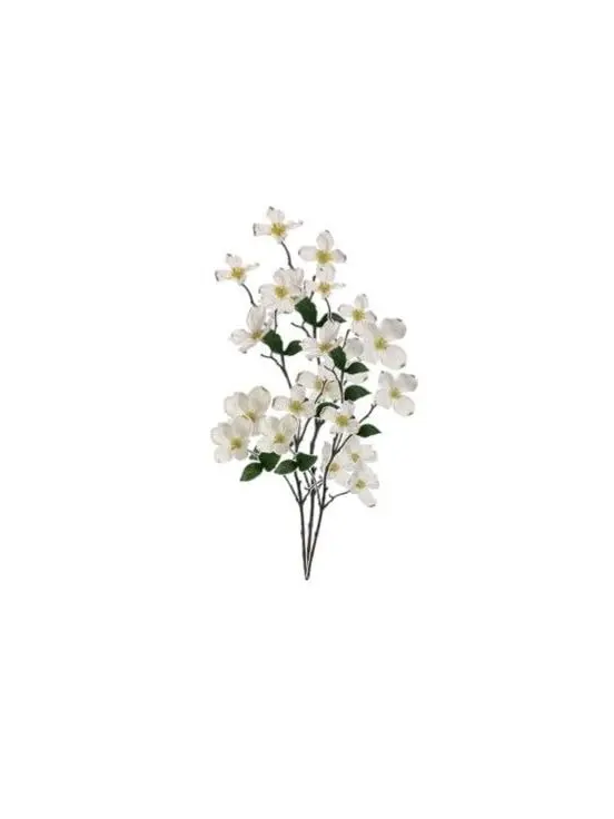 YoungSpray2942의 雪が溶けるのなら