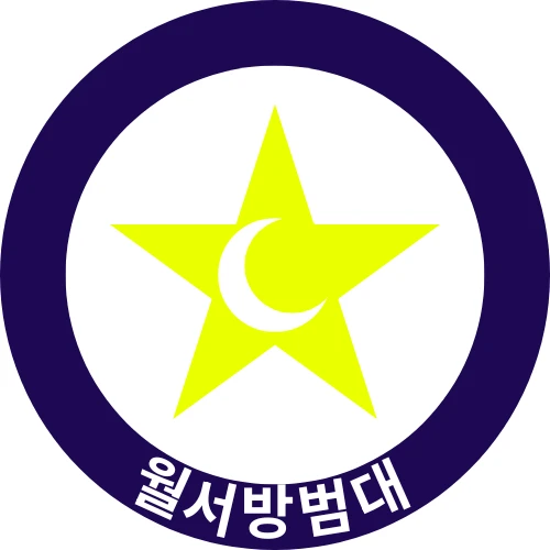 대한민국의 마지막 방범대